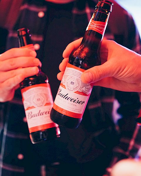 Two people are holding and clinking Budweiser beer bottles, creating a cheers gesture in a social setting.