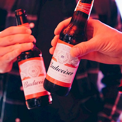 Two people are holding and clinking Budweiser beer bottles, creating a cheers gesture in a social setting.